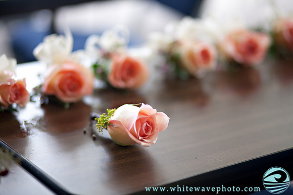 Wedding Portfolio