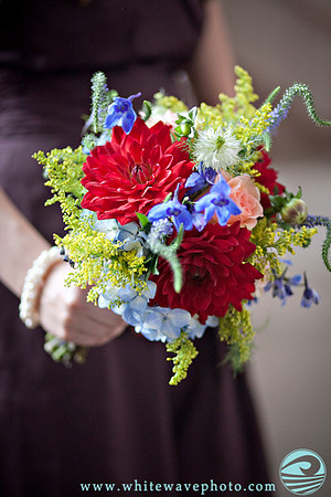 Wedding Portfolio
