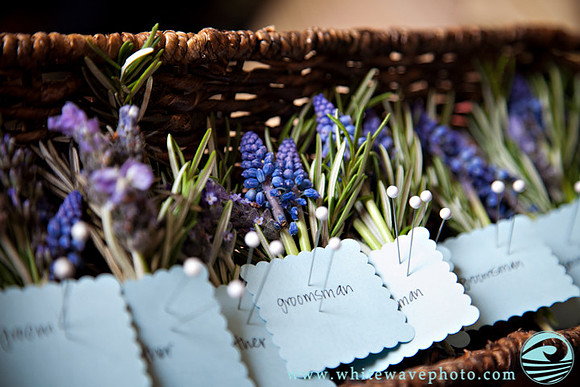 Wedding Portfolio