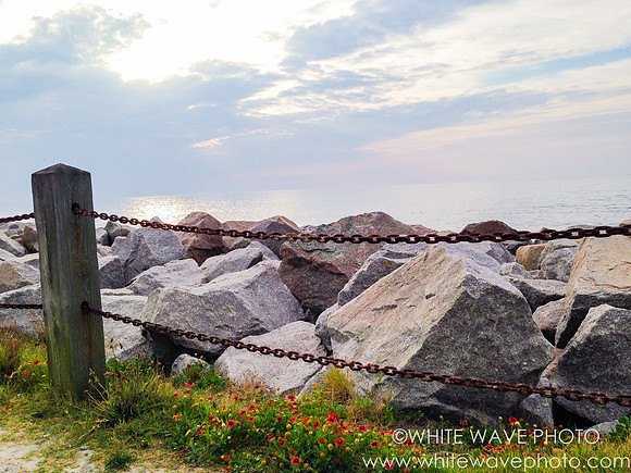 White Wave Photo