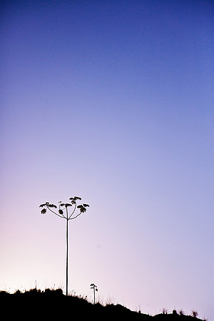 Barra São João, Brazil